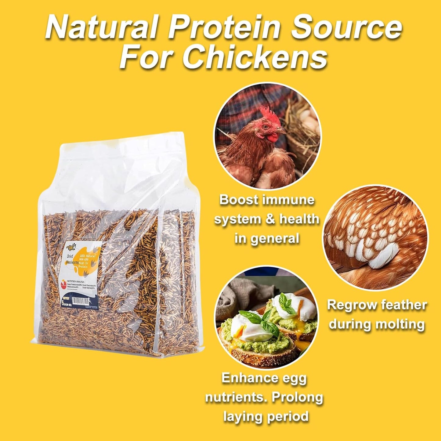 RANZ 5LBS Non-GMO Dried Mealworms for Chickens, High Protein Meal Worms, Premium Chicken Feed, Perfect Bird Food and Chicken Treats, Whole Large Mealworms for Wild Birds, Ducks, Fish