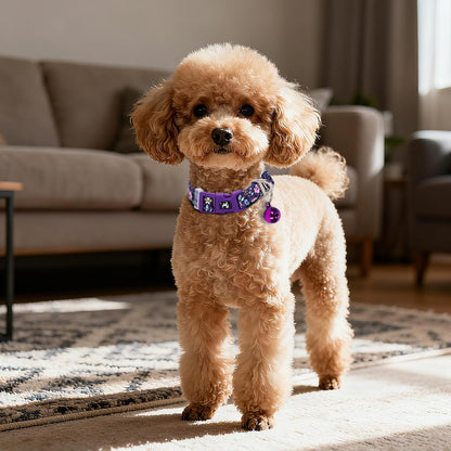 Floral Reflective Dog Collar with Bell -XSmall Puppy Collars for Puppia Pet Cat Girl Kitten Small Breeds, Cute Adjustable Nylon Collar for Yorkie Chihuahua Night Walks (XS)