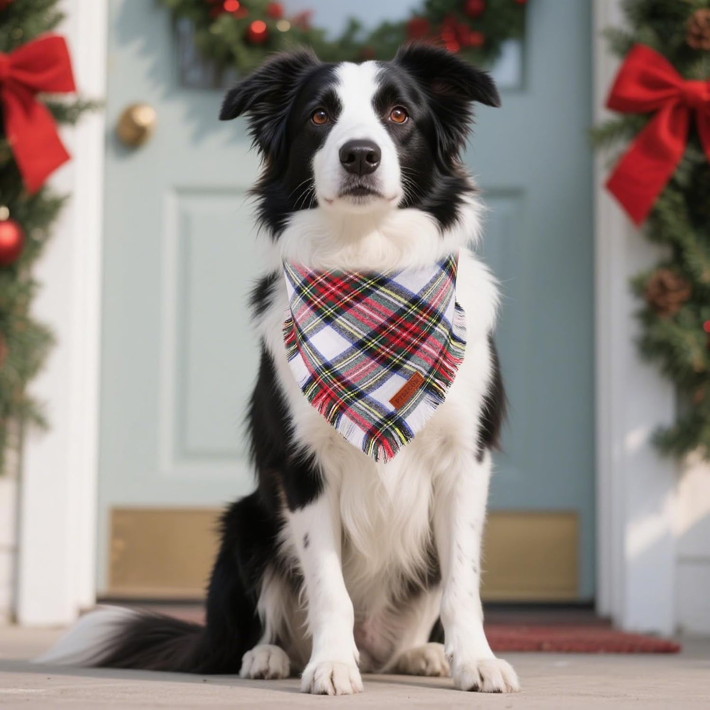PTDECOR Christmas Dog Bandanas with Tassels Edges, Stylish Red White Plaid Scarf Bib, Premium Cotton Fabric, Reversible Triangle Xmas Bandanas for Medium Large Dogs Pets (Large)