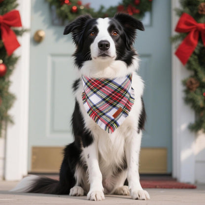 PTDECOR Christmas Dog Bandanas with Tassels Edges, Stylish Red White Plaid Scarf Bib, Premium Cotton Fabric, Reversible Triangle Xmas Bandanas for Medium Large Dogs Pets (Large)