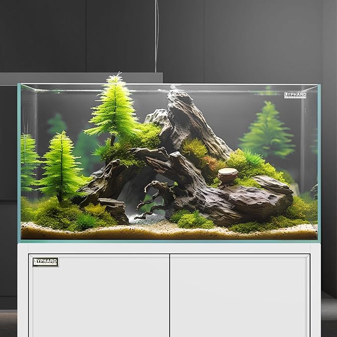 LYPHARD AQUARIUMS Tall Rimless Aquarium 9.5 Gallon, Ultra Clear Low Iron Small Fish Tank for Betta, L11.8×W11.8×H15.8 Glass Thickness 5mm with EVA Foam Leveling Mat