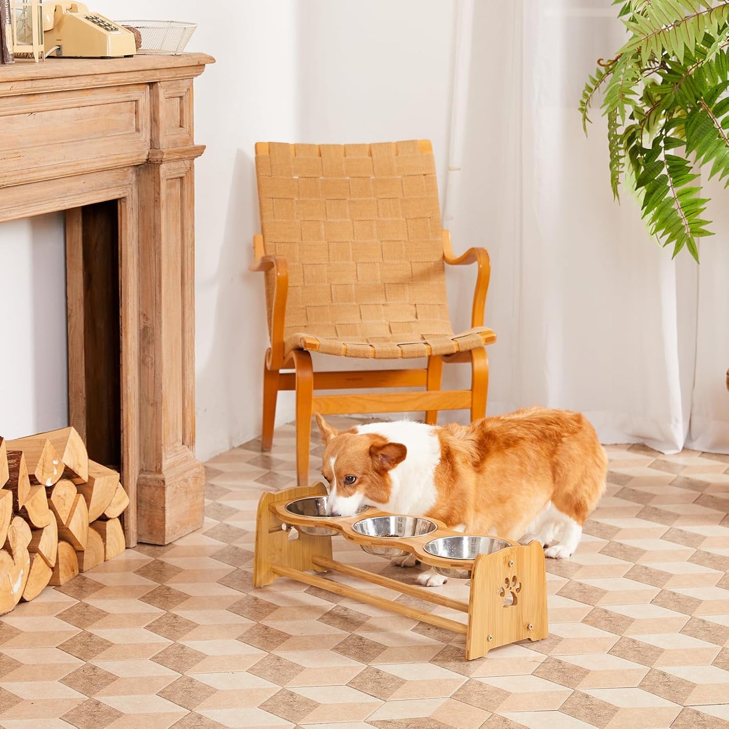 X-ZONE PET Elevated Dog Bowls for Cats and Dogs, Adjustable Bamboo Raised Bowls for Medium Dog, Food and Water Bowls Set Stand Feeder with 2 Stainless Steel Bowls Anti Slip Feet (Height 4.7" to 7")