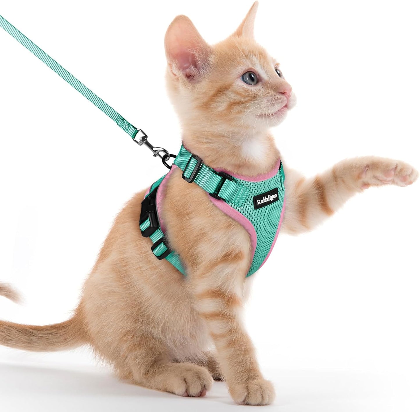 rabbitgoo Cat Harness and Leash for Walking, Escape Proof Soft Adjustable Vest Harnesses for Cats, Easy Control Breathable Reflective Strips Jacket, Pink&Light Green, XXS