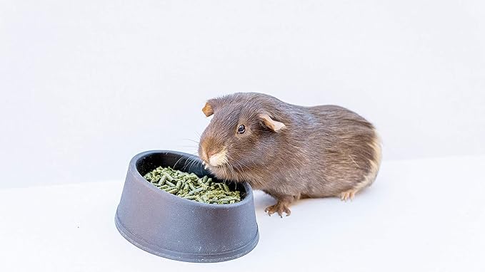 High Desert Delight Alfalfa Pellets: The Holy Grail of Small Pet Food for Your Furry, Feathered, and Shelled Friends