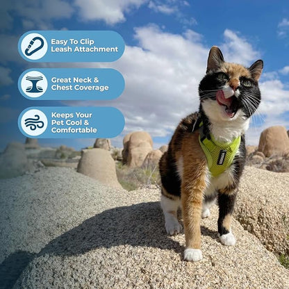 Voyager Step-in Lock Adjustable Cat Harness w. Cat Leash Combo Set with Neoprene Handle 5ft - Supports Small, Medium and Large Breed Cats by Best Pet Supplies - Lime Green, XS