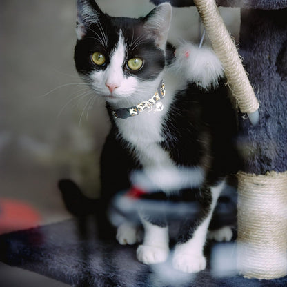 4 Pack Cotton Breakaway Cat Collar with Bell,Safety Adjustable Cat Collars Set,Ideal for Girl Cats Boy Cats