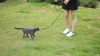 AMAGOOD 6 FT Cat Leash, Strong and Durable Traditional Style Leash with Easy to Use Collar Hook,Cat Lead Great for Cats (3/8 in x 6 ft,Black and Brown(2-Pack))