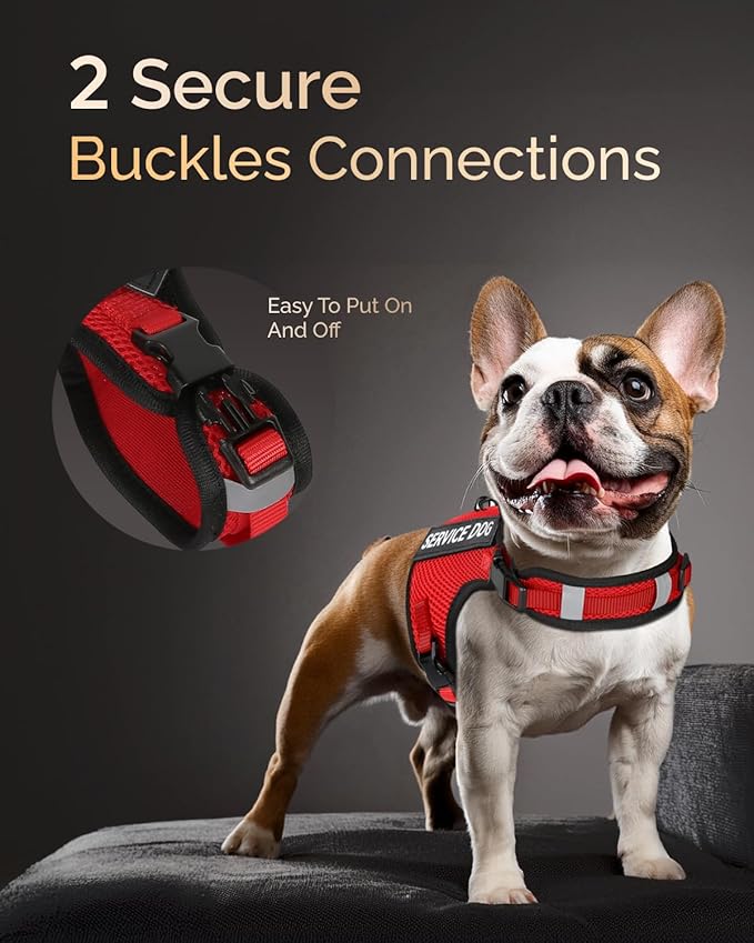 FAYOGOO Service Dog Vest for Small Dogs - Air Mesh Breathble Emotional Support Animal Vest with Velcro Patches - Puppy Harness and Leash Set Adjustable Neck and Chest