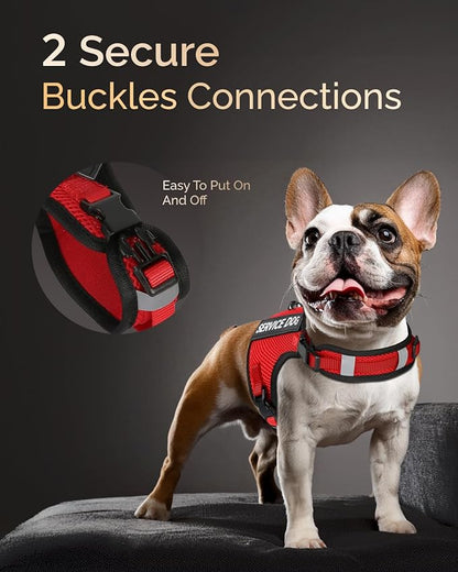 FAYOGOO Service Dog Vest for Small Dogs - Air Mesh Breathble Emotional Support Animal Vest with DIY Patches - Puppy Harness and Leash Set Adjustable Neck and Chest