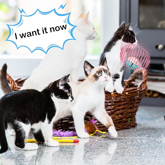 Jecery 5 Pcs Halloween Cat Spring Balls Toys Stretchable Rolling Balls Colorful Playful Coils Interactive Spring Action Toy Caged Rats for Kitten Cat Pet Supplies(Bell,Multicolor,5 Pcs)
