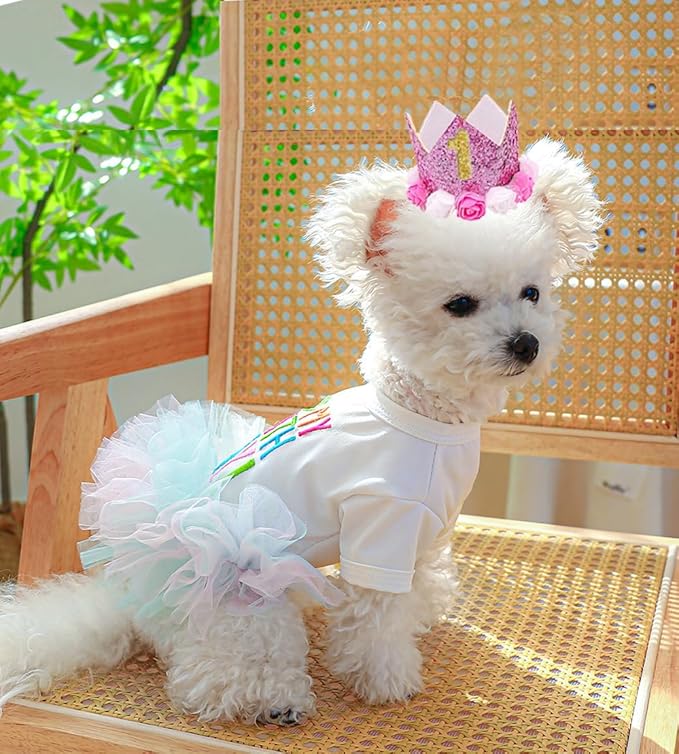 ANIAC Dog Birthday Dress and Hat Set Puppy Lace Tutu Pink Pet Crown Hat with 0-9 Figures Birthday Outfit for Cats Small Dog (White+Pink,Large)