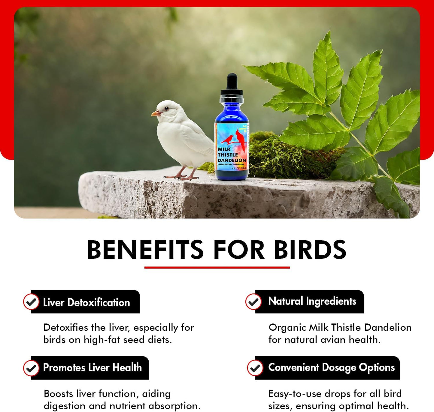 Morning Bird Milk Thistle & Dandelion Extract 1 fl oz - Organic Bird Supplement for Optimal Health – Support Liver Heath & Promotes Detox - Suitable for All Birds Species