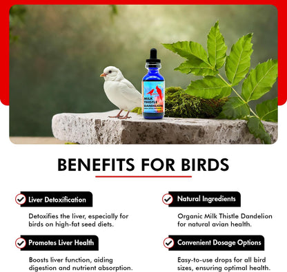 Morning Bird Milk Thistle & Dandelion Extract 1 fl oz - Organic Bird Supplement for Optimal Health – Support Liver Heath & Promotes Detox - Suitable for All Birds Species
