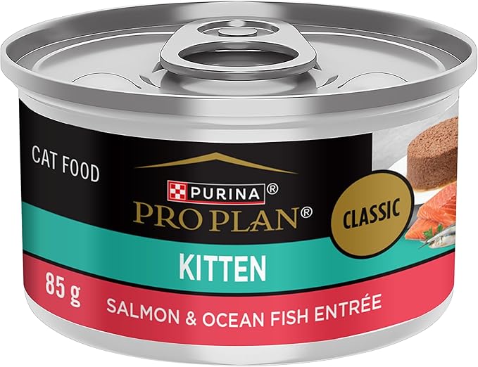 Purina Pro Plan Wet Kitten Food Pate, Salmon and Ocean Fish Entree - (Pack of 24) 3 oz. Pull-Top Cans