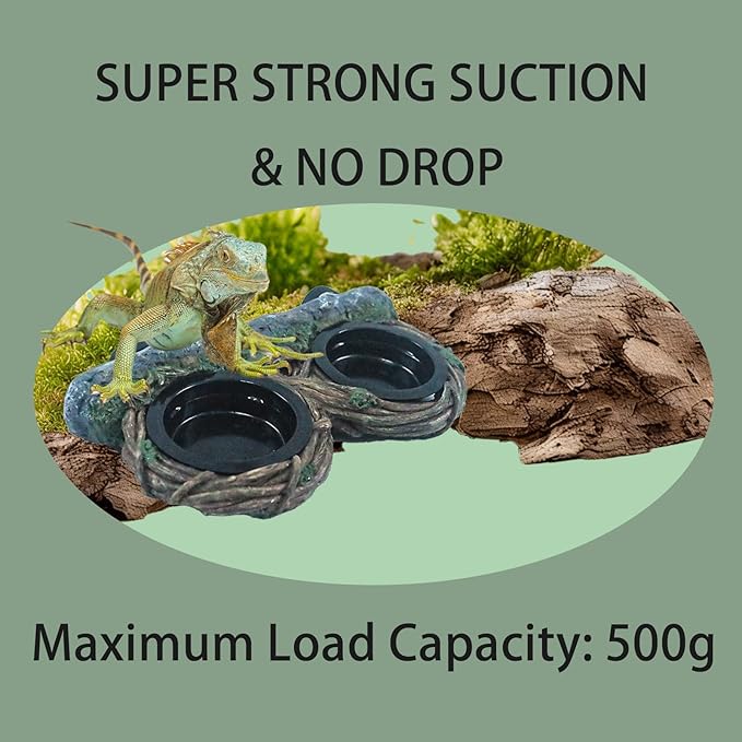 Reptile Feeding Ledge with 4 Cups, Hollow Vine Food Dish & Water Bowl for Bearded Dragon, Gecko, Lizard & Snake – Reptile Tank Accessories for Terrariums