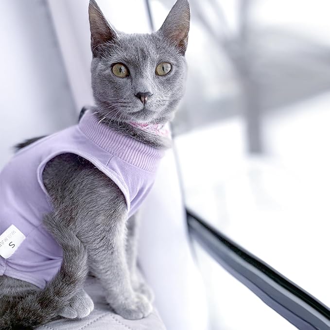 Cat Recovery Suit for Male and Female Surgical Post Surgery Soft Cone Onesie Shirt Clothes Neuter Licking Protective Diapers Outfit Cover Kitten Spay Collar(L, Purple)