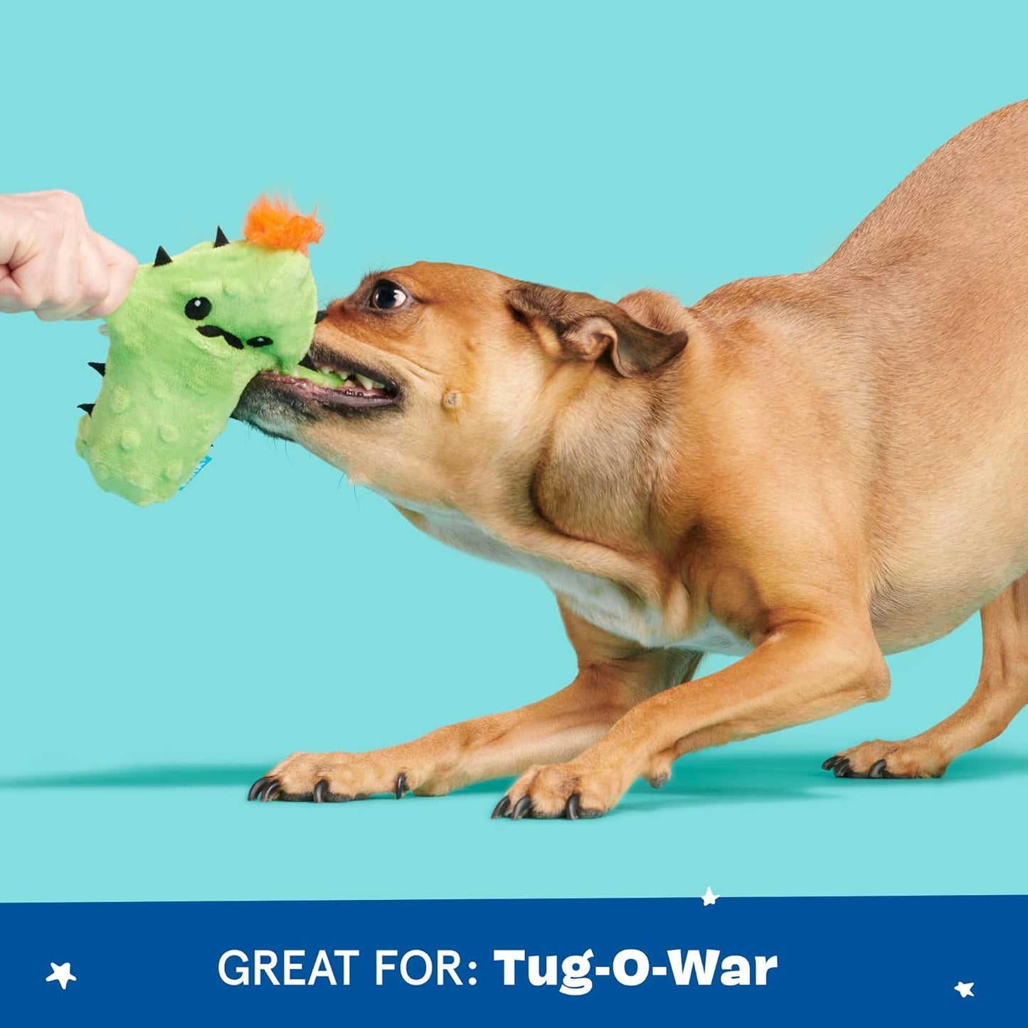 Barkbox 2 in 1 Interactive Plush Dog Toy - Rip and Reveal Toy for Dogs and Puppies - Stimulating Squeaky Pet Toys | Prickly Pete (Small)