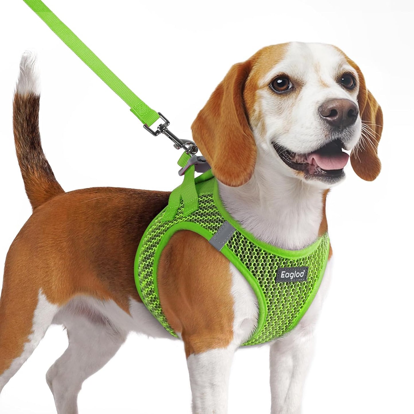 Eagloo Small Dog Harness and Leash Set, Step in Puppy Vest with Breathable Soft Mesh, Walking Reflective Pet Harness for Medium Small Dogs, Green, M