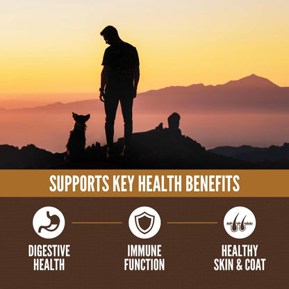 ORIJEN Amazing Grains High Protein Dry Dog Food Regional Red Recipe 4lb Bag