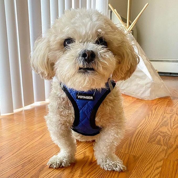 Best Pet Supplies - All Weather Mesh / Plush, Reflective, No Pull Harness for Small, Medium Dogs, Cats - Secure with Hook & Loop Fastener, Buckle, Double D-Rings - Royal Blue Faux Leather, XL