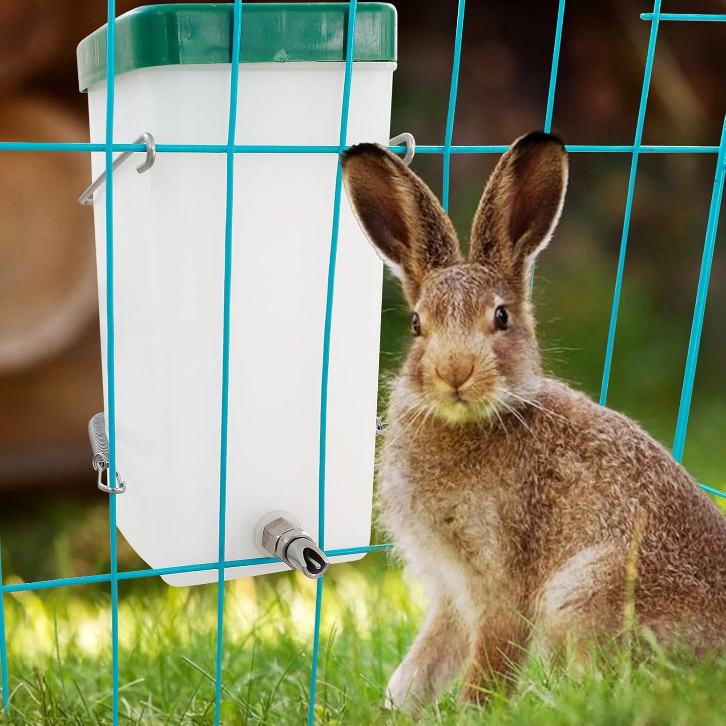 32oz No-Drip Rabbit Waterer Stainless Steel Nipple for Small Animal Rabbit Waterer for Small Pet/Bunny/Ferret/Hamster/Guinea Pig (1L) (cy-tzwsq, xbh1)