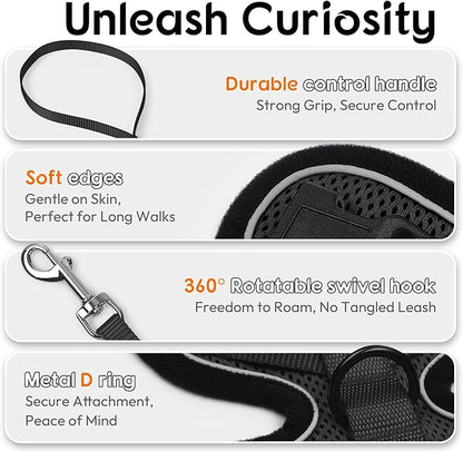Dooradar Cat Harness and Leash Set, Escape Proof Safe Adjustable Kitten Vest Harnesses for Walking, Easy Control Soft Breathable Mesh Jacket with Reflective Strips for Cats, Black, XXS