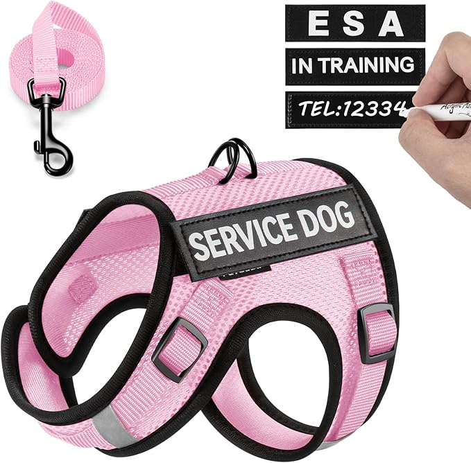 FAYOGOO Service Dog Vest for Small Dogs - Air Mesh Breathble Emotional Support Animal Vest with Velcro Patches - Puppy Harness and Leash Set Adjustable Neck and Chest