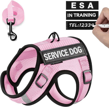 FAYOGOO Service Dog Vest for Small Dogs - Air Mesh Breathble Emotional Support Animal Vest with Velcro Patches - Puppy Harness and Leash Set Adjustable Neck and Chest