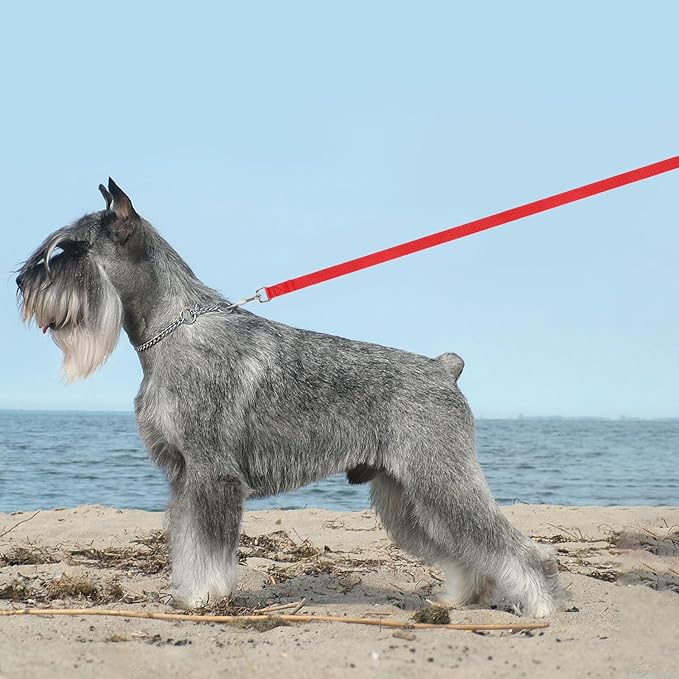 Hypeety Pet Dog Training Leash Strong Durable Nylon Lead, Traction Rope, 5 Feet Long for Puppy Kitty Rabbit Training or Walk 3 Pack Set