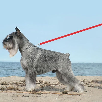 Hypeety Pet Dog Training Leash Strong Durable Nylon Lead, Traction Rope, 5 Feet Long for Puppy Kitty Rabbit Training or Walk 3 Pack Set