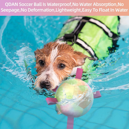 QDAN Dog Toys Soccer Ball with Straps, Durable Dog Balls for Tug of War, Puppy Birthday Gifts, Dogs Water Toy Small Dogs-Rainbow（5 Inch）