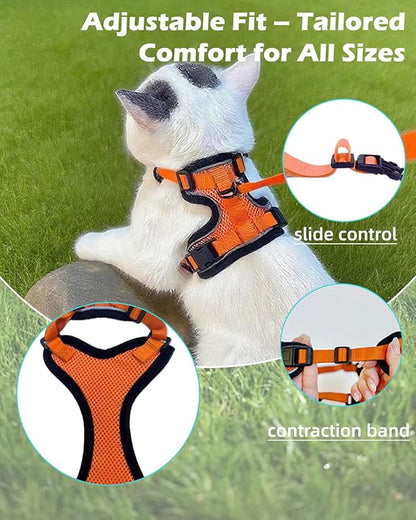 Luxelle 2 Pack Escape-Proof Cat Harness and Leash Set for Walking – Adjustable No Pull Soft Vest with Easy-Wear Buckle, Reflective Straps, Breathable Mesh – Outdoor Travel Harness for Cats & Kittens