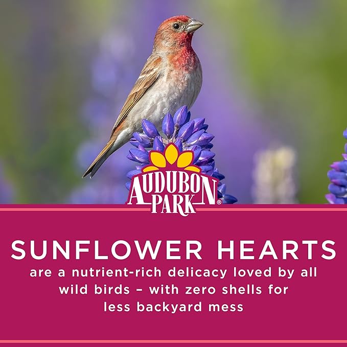 Audubon Park Sunflower Hearts Wild Bird Seed for Outside Feeders, 15-lb. Bag