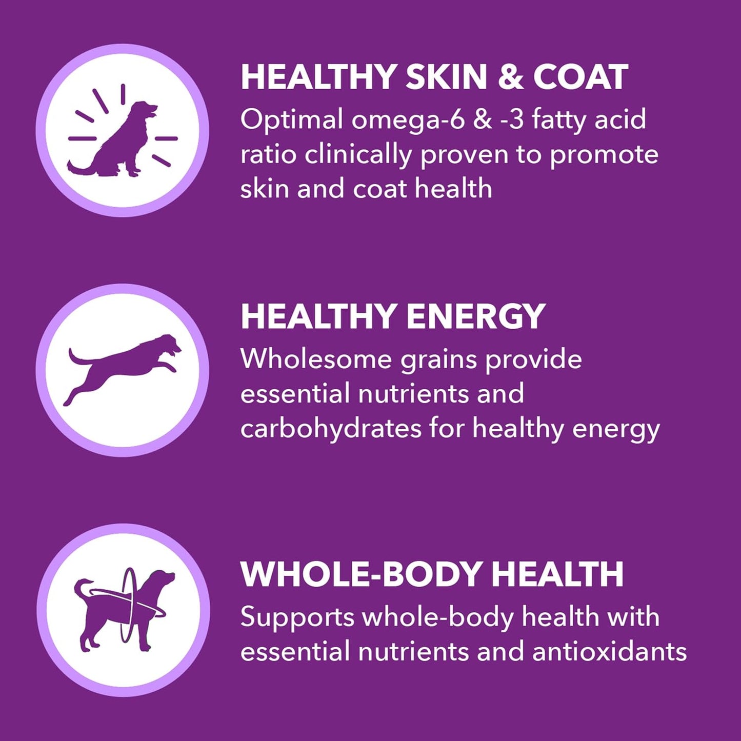 IAMS Advanced Health Skin & Coat Adult Dry Dog Food Chicken and Salmon Recipe, 27 lb. Bag