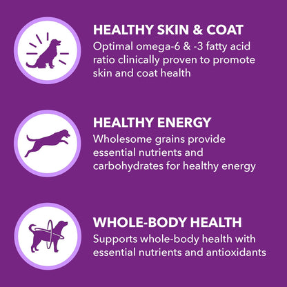 IAMS Advanced Health Skin & Coat Adult Dry Dog Food Chicken and Salmon Recipe, 36 lb. Bag