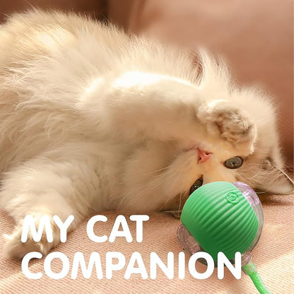 Rocfish Durable Interactive Cat Toys for Indoor Cats, Smart Automatic Cat Chase Ball Toy, Upgraded Speedy Tail Kitten Toy for Bored Indoor Adult Pets (Green)