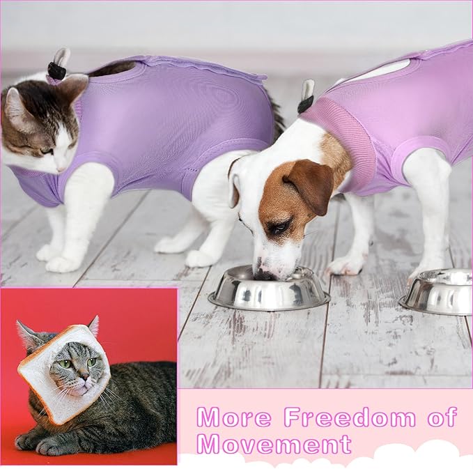 Nuanchu 3 Pieces Cat Recovery Suit Kitten Recovery Suit E-Collar Alternative for Cats and Dogs Abdominal Skin Anti Licking Pajama Clothes Sets(Large,Solid Style,Purple Pink Blue)