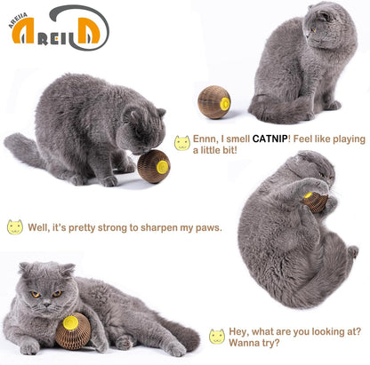 Catnip Ball Toy for Cats Catnip Refillable Scratcher Ball Kitty's Faithful Playmate Reduce Obesity and Loneliness CSB01BR