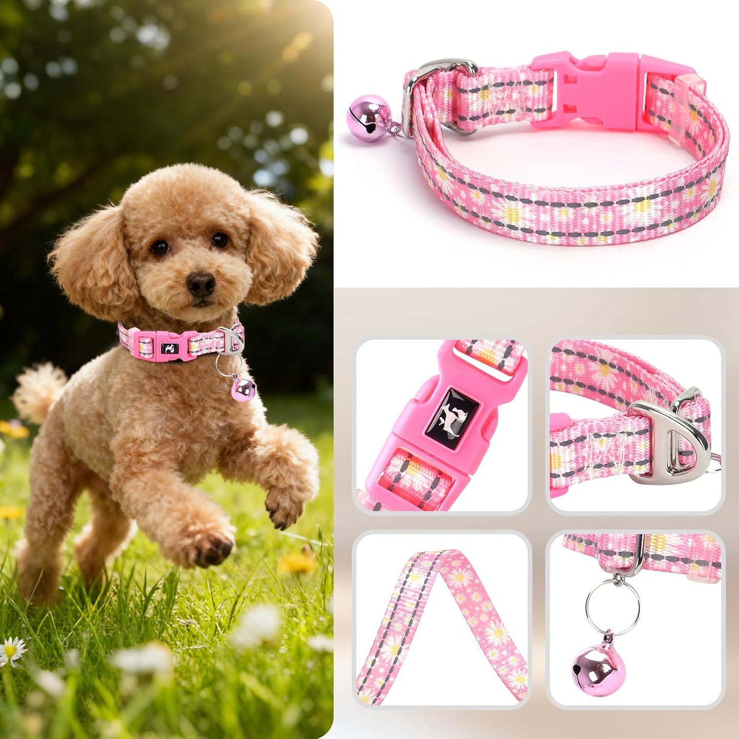 Daisy Reflective Nylon Puppy Collar with Bell - Adjustable XXS/XS Small Dog Collar for Chihuahua, Pomeranian, Yorkie - Lightweight & Comfortable for Night Walks & Indoor Play (XS, Pink)