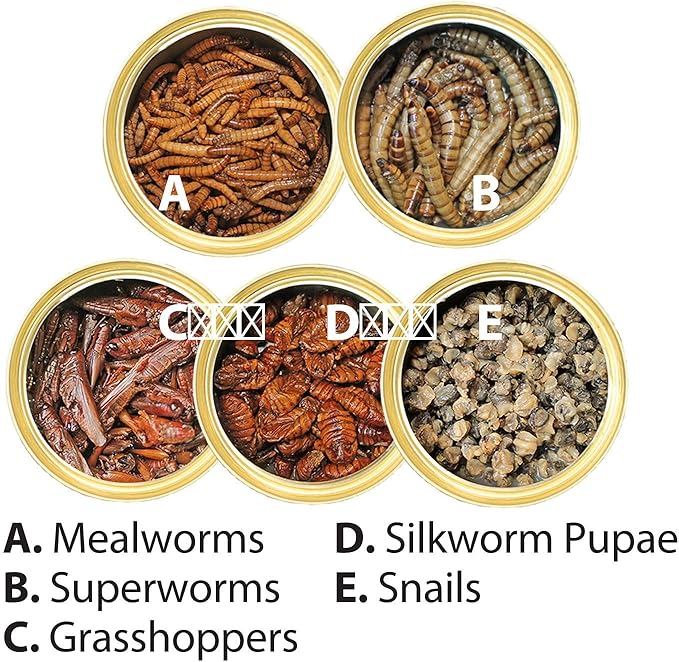 Canned Insect Assortment 6 Pack - Healthy High Protein Treat - For Hedgehogs, Sugar Gliders, Reptiles, Chickens, Lizards, Bearded Dragons, Turtles, Fish, Birds, Opossums, Skunks and other Insectivores