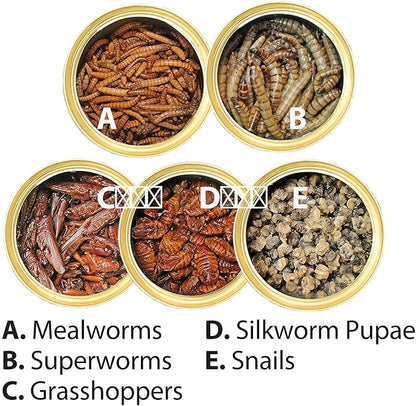 Canned Insect Assortment 6 Pack - Healthy High Protein Treat - For Hedgehogs, Sugar Gliders, Reptiles, Chickens, Lizards, Bearded Dragons, Turtles, Fish, Birds, Opossums, Skunks and other Insectivores