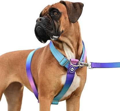 Spark Paws No Pull Dog Harness for Large Dogs, Heavy Duty Dog Harness for Big Strong Breeds, Adjustable, Y Shaped Padded Halter Design with Front Clip - 90s Retro – M