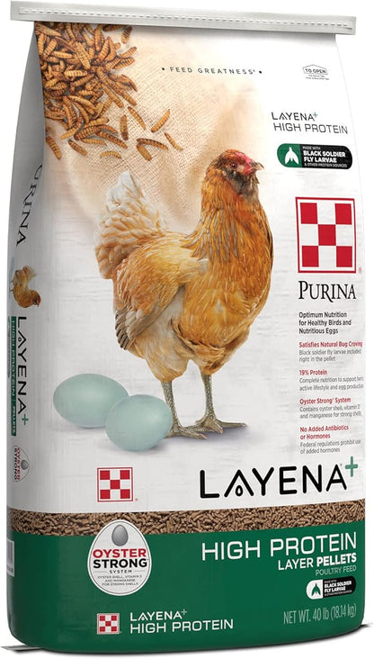 Purina Layena + High Protein Layer Chicken Feed (40 Pound)