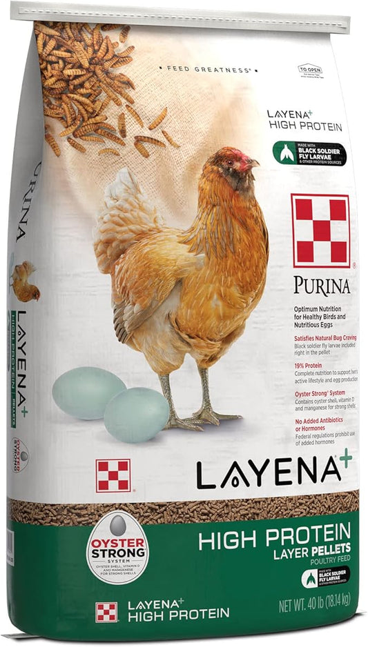 Purina Layena + High Protein Layer Chicken Feed (40 Pound)