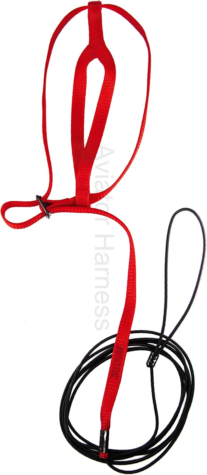 The AVIATOR Pet Bird Harness Medium Red