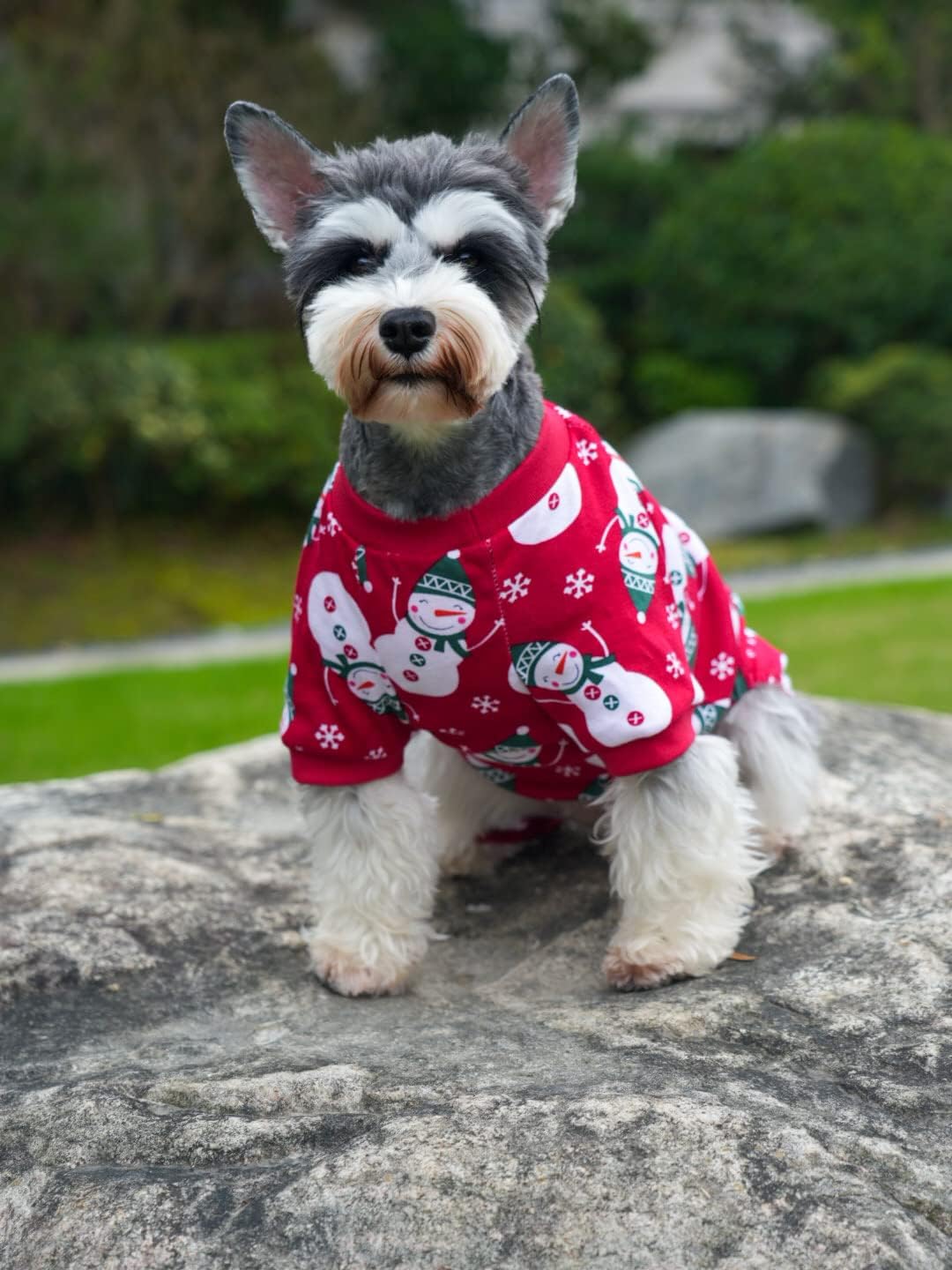 Lanyarco Cute Snowman Dog Pajama Reindeer Small Pet Clothes Christmas Dog Pajamas Shirts, Red Back Length 12" Small