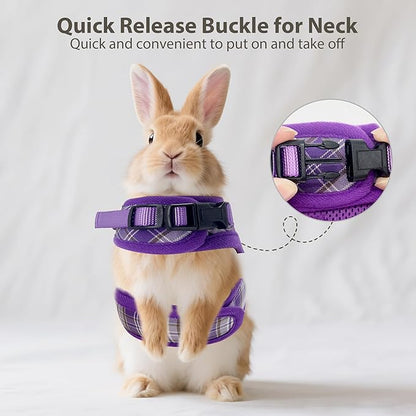 AIITLE Adjustable Bunny Harness & Leash Set - Soft Mesh Liner, Comfort Fit Plaid Pattern Vest with Magic Tape Design, Portable for Small Animal Pets Rat Squirrel Ferret Puppy Cat, Purple L