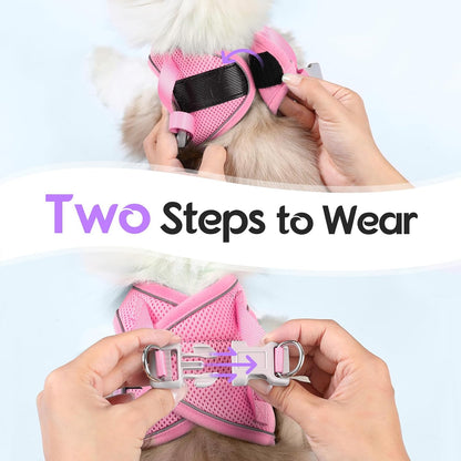 Dooradar Cat Harness and Leash Set, Escape Proof Lightweight Kitten Harness, Soft Breathable Reflective Vest for Outdoor Walking Traveling, Adjustable for Medium Cats, Purple & Pink, M