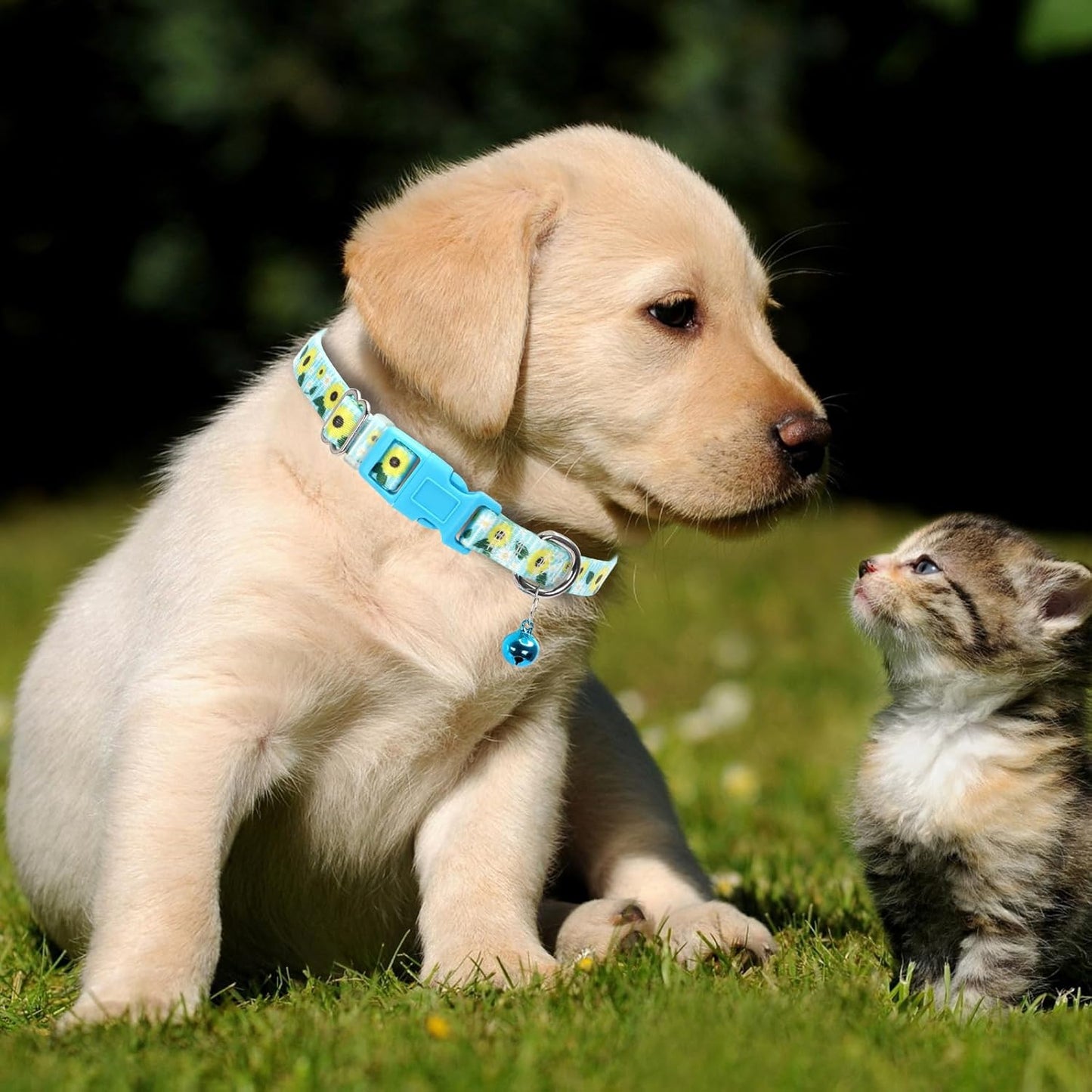 Small Dog Collar with Bell for Small Dogs, Adjustable Sunflower Print Collar for Chihuahua Pomeranian, Soft Comfort Tiny Dog Collar S