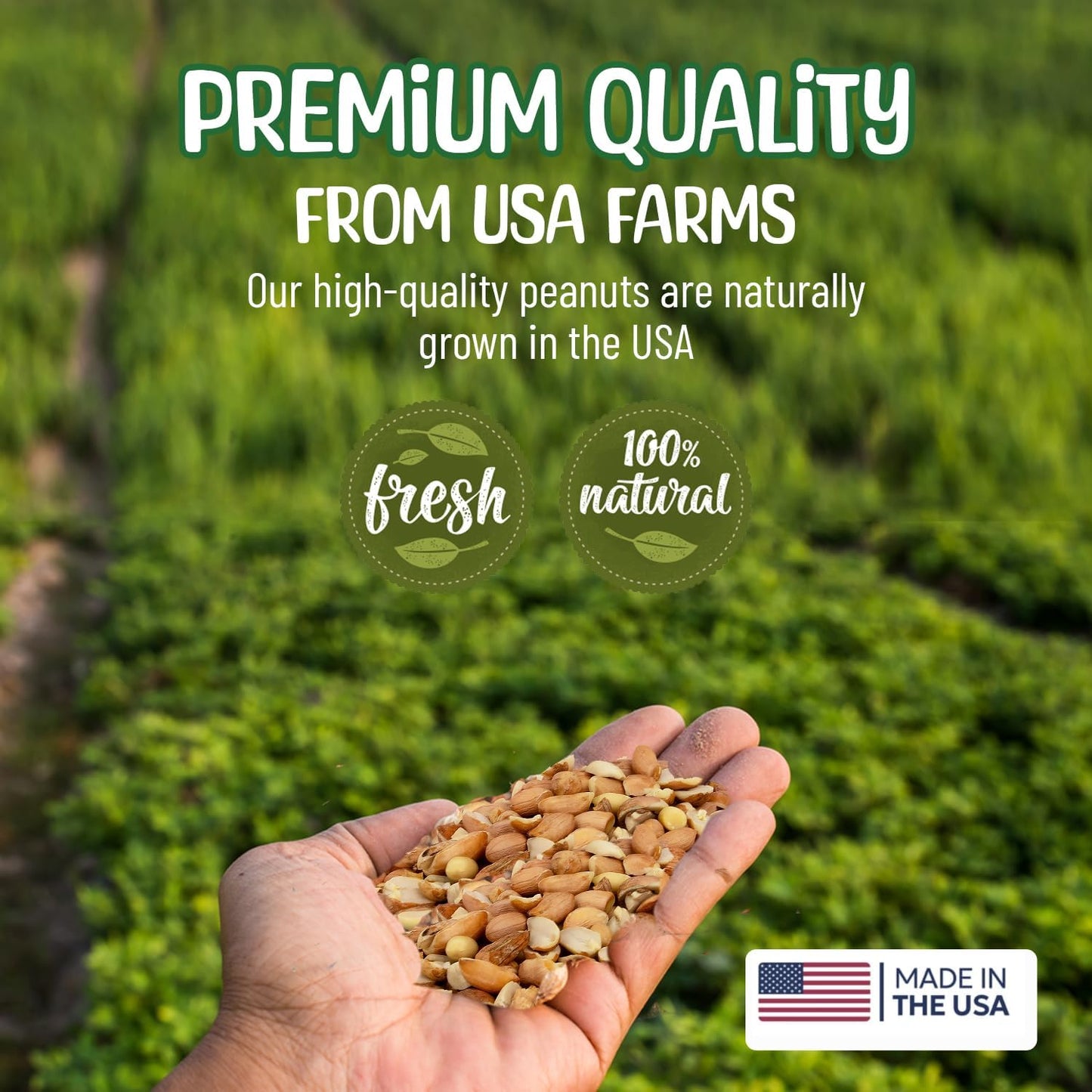Premium Quality Raw Out of Shell Peanuts - 2 Pounds - Shelled Peanuts for Birds – Wildlife Quality - Food for Squirrels, Deer, Birds, and Other Wildlife Animals – Grown in The USA